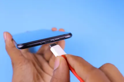 Casino Mobile Wins Mobiele App